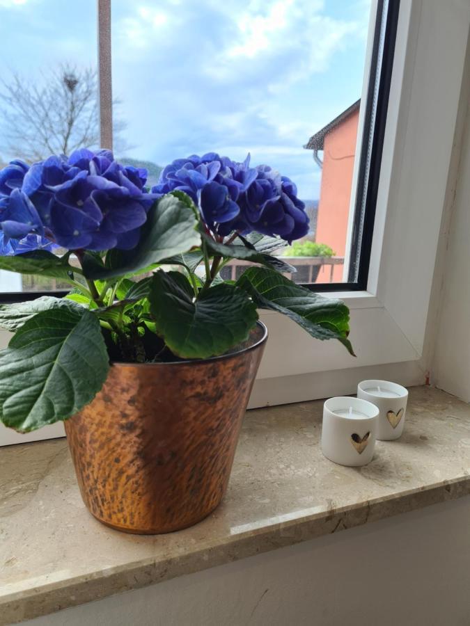 Ferienwohnung Rosenberg Oberemmel Екстериор снимка